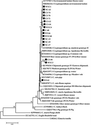 Molecular Characterization of Cryptosporidium spp. in Brandt's Vole in China